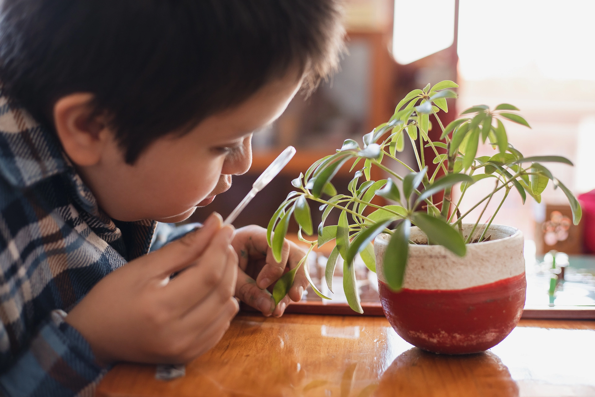 Escuela Mundo Montessori